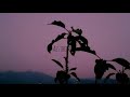 BEPANAH TITLE TRACK Bepanah Pyar Hai Tumse Slowed And Reverb