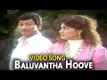 Aakasmika Kannada Movie Songs Baaluvantha Hoove Video Song Rajkumar VEGA