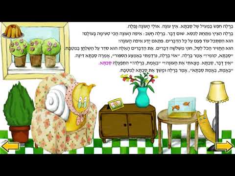 ברלה ברלה מה בסל