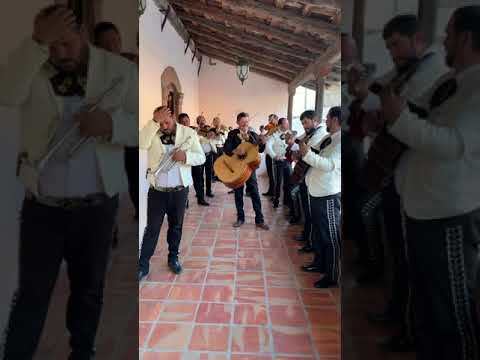 Mariachi Juvenil Guachinango ( Yo también soy del Rancho)