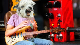  Checking Out The Delay Llama by Jam Pedals 
