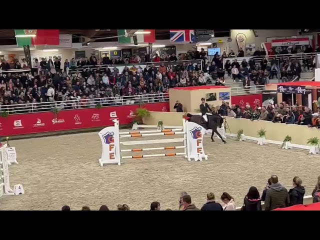 Mother of this embryo is Half-sister of BWP approved and CSI 1.45m Stallion Pegase van't Ruytershof with rider Jeroen de Winter.