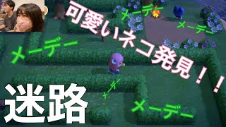 【あつまれどうぶつの森🌳#20】メーデーの離島ツアーでみしらぬネコ発見🐱 #jpnわーるど #StayHome #うちで過ごそう #日常 #姉弟 #Switch #ファミリー #あつ森
