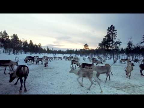 The Travel Show - Finland (Week 11)