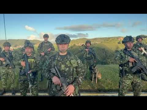 Desactivaron seis artefactos explosivos en Anorí - Noticias Telemedellín