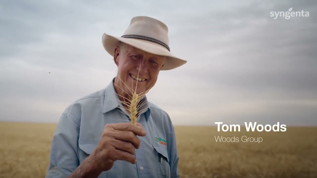 Victrato at Harvest Time