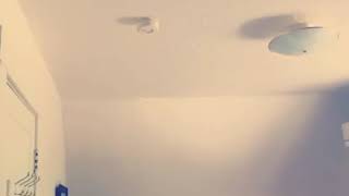 Simple Man       Barbra Streisand Covers