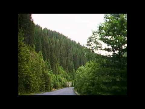 oasa gura cibanului pe asfalt