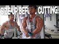 SIZING UP BEFORE CUTTING SEASON | CHEST WORKOUT SPLIT