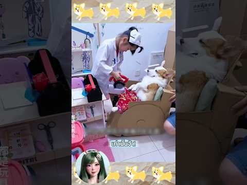 เมื่อน้องหมาเป็นหนี้ค่ารักษา! 💸🐶