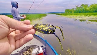 Topwater Frog Fishing the Mississippi River!