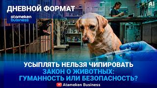 Новый закон о животных: гуманность или безопасность? 