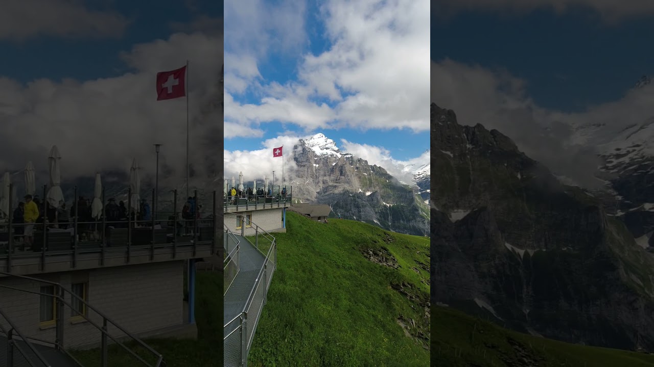 YouTube Short thumbnail