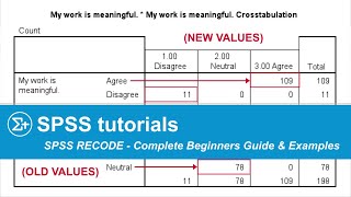 SPSS RECODE - The Ultimate Beginners Guide & Examples