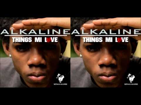 Alkaline - Things Mi Love (Raw) - May 2013 | @GazaPriiinceEnt