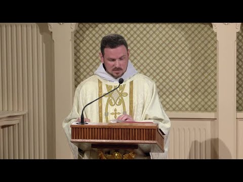 Daily Readings and Homily - 2022-11-11 - Fr. Patrick