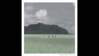 Tigers in the Sky - Oceans