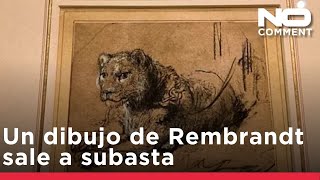 Un raro dibujo de un león de Rembrandt de hace 400 años sale a subasta