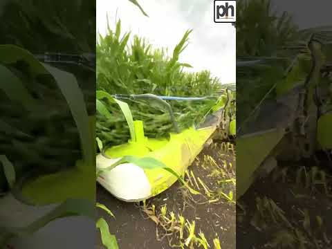 MÁQUINAS AGRÍCOLAS ESTÃO REVOLUCIONANDO A AGRICULTURA!