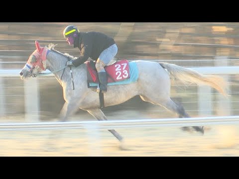 1/24-부산경마-신승욱-새벽조교