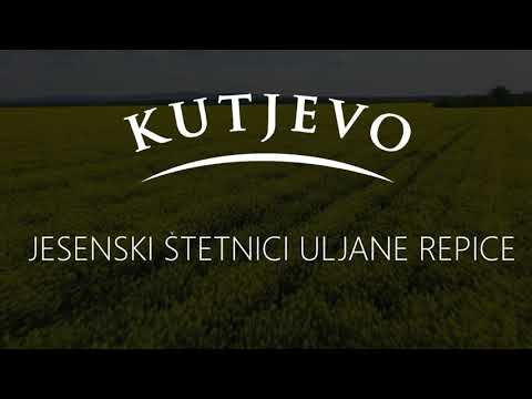 Kutjevo d.d. - Štetnici