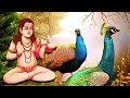 TOP BABA BALAK NATH QAWWALI MATA RATNO DE PALI PA DE KHAIR MANGTI NU SOHAN LAL SAINI SUKHWINDER RANA