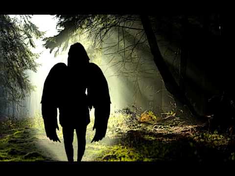 Synkro & Indigo - Guidance