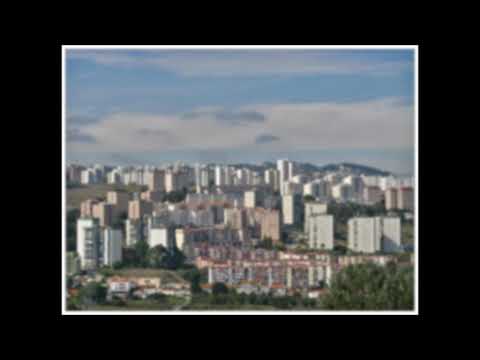 SAC 2660 FREELOGIA KOMPILASON