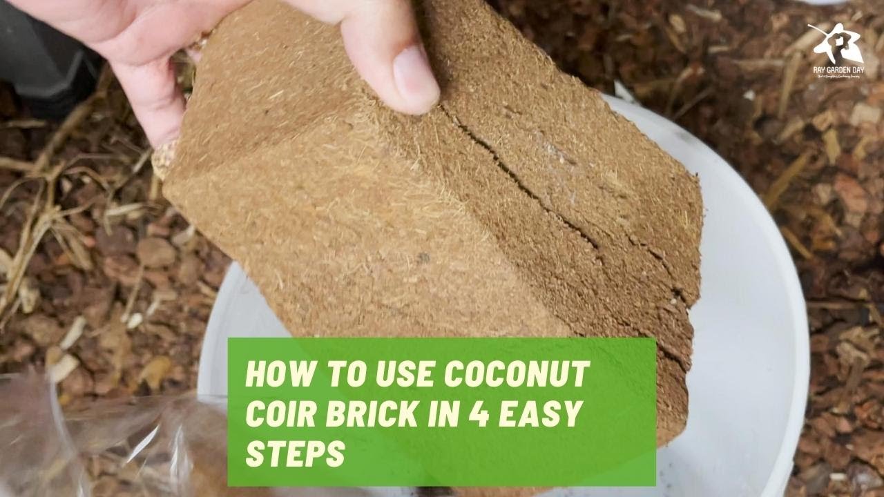 How to use coconut coir brick in 4 easy steps