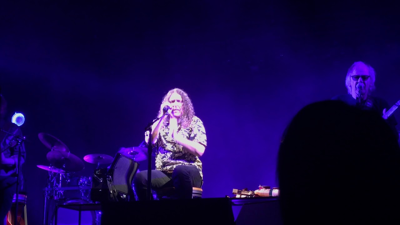 "Weird Al" Yankovic and his band covers "Glad All Over" by the Dave Clark Five