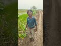 Haveli Pe Aa Jana Dilwale Dialogue Funny Comedy Shorts Comedy Video Funny Shortvideo