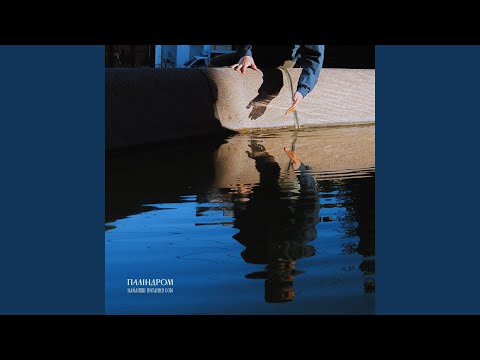 Вітер в голові