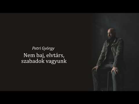 #freeSzFE | Pál András (Radnóti Színház)