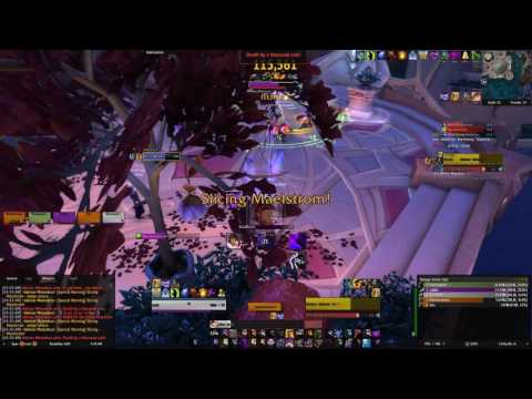 Court of Stars Mythic+12 Advisor Melandrus Attempt