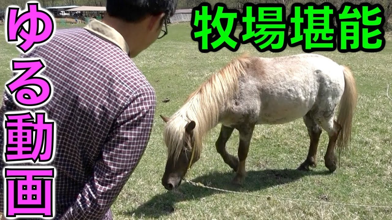 【疲れを溜めよう】２泊３日！寝たら即帰宅の旅！Part５