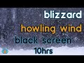 [Black Screen] Snowstorm Howling Wind: Blizzard and Snow Sounds for Sleep / Study / Relax | 10Hrs