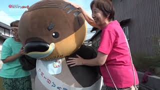 2026/10/19放送・知ったかぶりカイツブリにゅーす