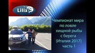 Ссылка