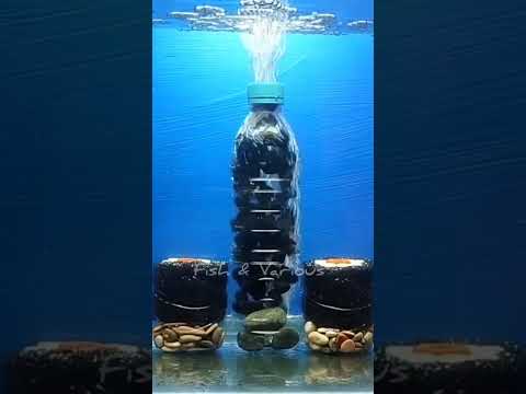 Bio filter for fish tank DIY | Aquarium filter DIY