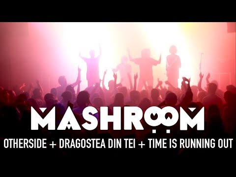 Mashroom | RHCP vs Ozone vs Muse vs Lost Frequencies [Live Mashup]