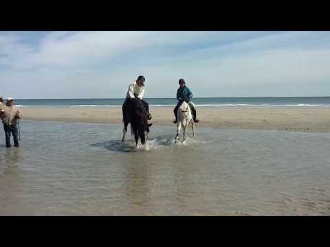 Splish Splash Chancellor & JaFar Play in Ocean Pond
