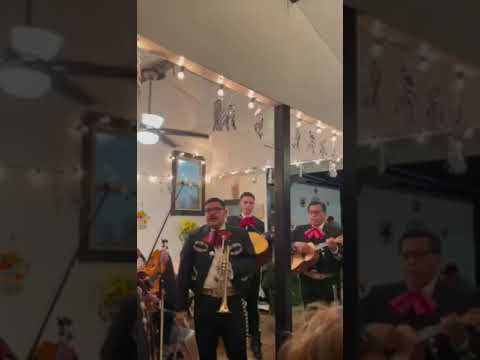 Promotional video thumbnail 2 for Mariachi Reyes De Mexico