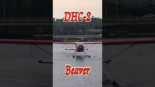 🛩 DHC-2 Beaver 🏞️ #Shorts