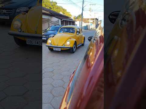 INTERIOR DE MINAS GERAIS , COLUNA MG