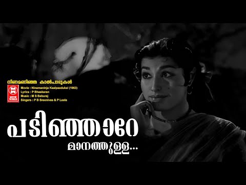 Padinjare Manathulla Video Song | Ninamaninja Kalpadukal | Prem Nazeer | Ambika | Malayalam Song