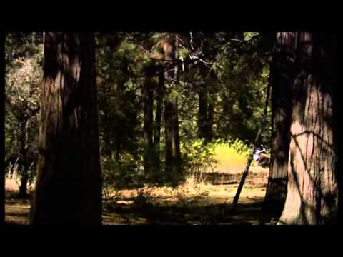 The Office: Michael goes to the wilderness