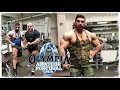 GIGANTEN TRAINING | OLYMPIA Amateur Portugal 2019