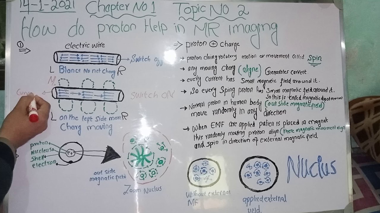 Part 1 How do proton help in MR imaging MRI made easy