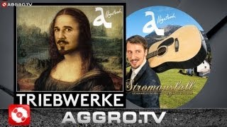 ALLIGATOAH - WILLST DU UNPLUGGED (OFFICIAL HD VERSION AGGRO TV)