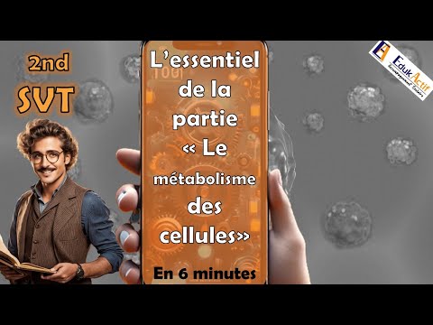 L'essentiel en 6 minutes de la partie Le métabolisme des cellules |SVT| Seconde| #svt #métabolisme